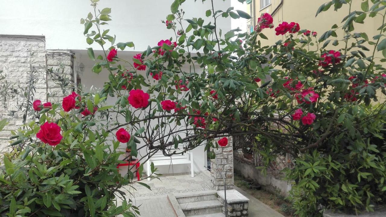 피사 Casa Millegrue 빌라 외부 사진
